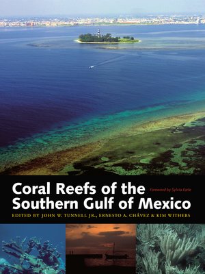 cover image of Coral Reefs of the Southern Gulf of Mexico